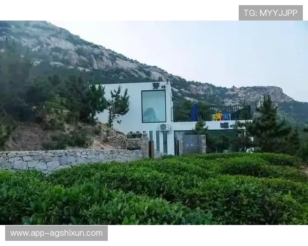 追寻国际云顶yd娱乐官网的潮流：怎么看待未来的发展方向